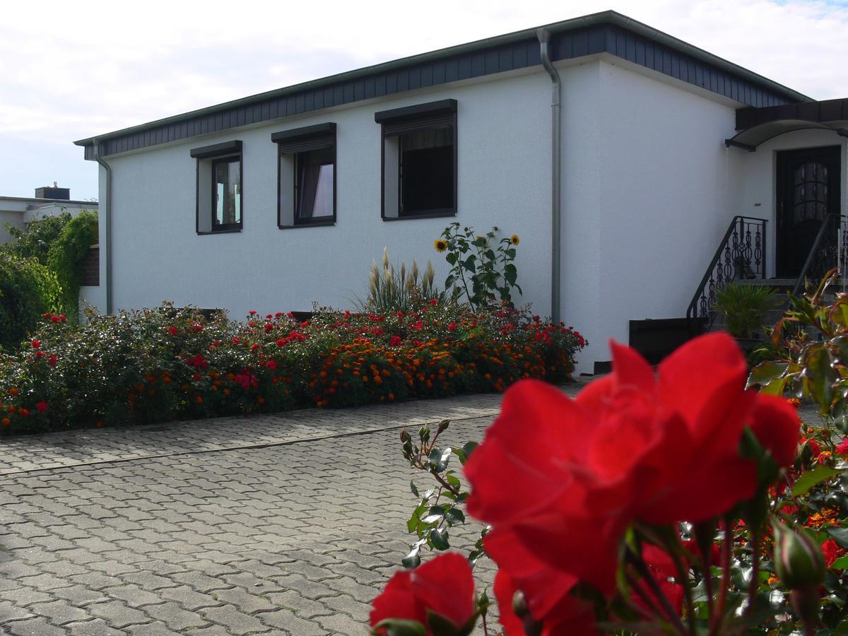 Apartment Rerik With Fenced Garden Buitenkant foto